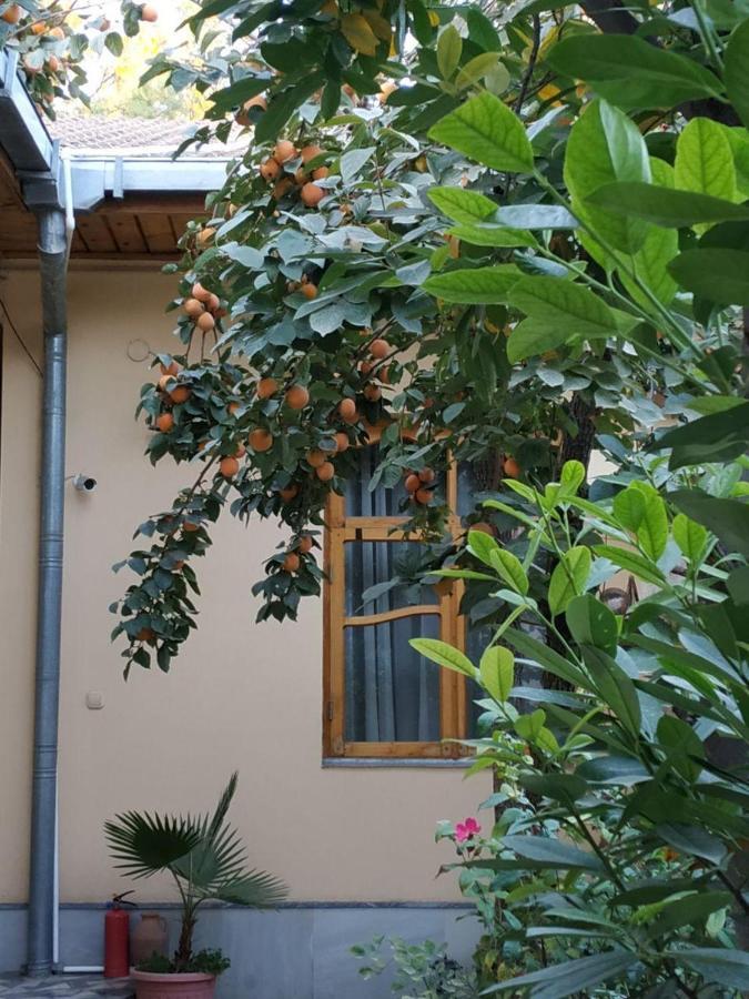 Sim Sim Hostel & Guest House Near The Church ซามาร์คันด์ ภายนอก รูปภาพ